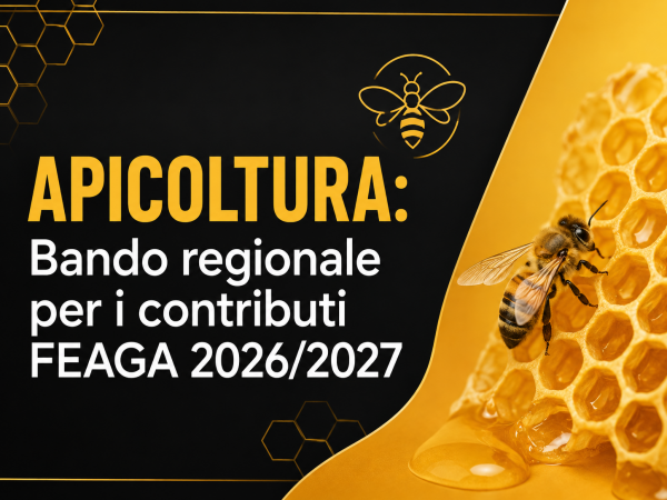BANDO APICOLTURA VENETO 2026/2027: CONTRIBUTI FINO AL 60% PER ATTREZZATURE E MACCHINARI